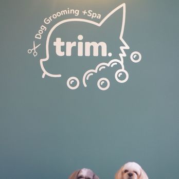 trim. Dog Grooming + Spa - Pet Groomers Near Me - Redondo Beach, California trim. Dog Grooming + Spa - Pet Groomers Near Me - Redondo Beach, California