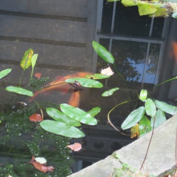 Postman's Park - Parks Near Me - London, XGL Postman's Park - Parks Near Me - London, XGL