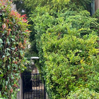 Ortega Tree Service - Tree Services Near Me