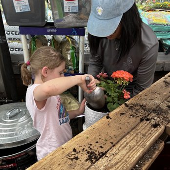 Warner's Nursery & Landscape - Nurseries & Gardening Near Me - Flagstaff, Arizona