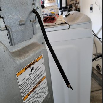 The Home Depot - You can see our old dryer with the cut wire - Nurseries & Gardening Near Me - Salinas, California The Home Depot - You can see our old dryer with the cut wire - Nurseries & Gardening Near Me - Salinas, California