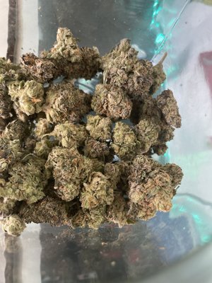 洋書 Hometown Almamac&Directory 7848 W Tonto Dr, Glendale, AZ 85308 | Redfin