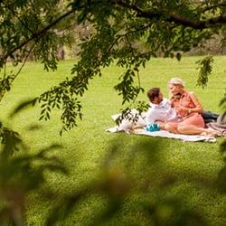 Spicers Vineyards Estate