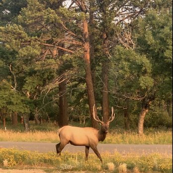 Estes Park Center YMCA - Good morning for a walk - Resorts Near Me - Estes Park, Colorado Estes Park Center YMCA - Good morning for a walk - Resorts Near Me - Estes Park, Colorado