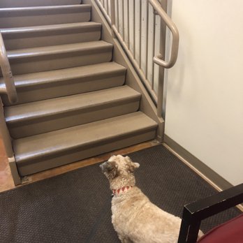 Lake Union Veterinary Clinic - Veterinarians Near Me - Seattle, Washington