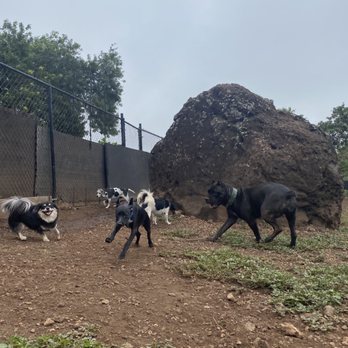 Kama'aina K9 Adventures - Pet Sitting Near Me - Waipahu, Hawaii