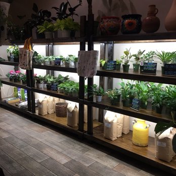 Mundial Coffee - Inside - Coffee & Tea Near Me - Riverside, California