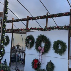 Texas Tree Farm - Xmas decor
