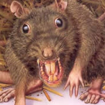 Crankerup Pest Control - Rodents - Pest Control Near Me - Middletown, Ohio Crankerup Pest Control - Rodents - Pest Control Near Me - Middletown, Ohio