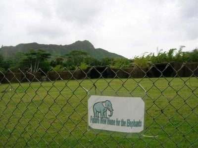 Honolulu Zoo by null