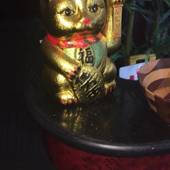 Sakura - This cat made my day. - Sushi Bars Near Me - Litchfield, Illinois Sakura - This cat made my day. - Sushi Bars Near Me - Litchfield, Illinois