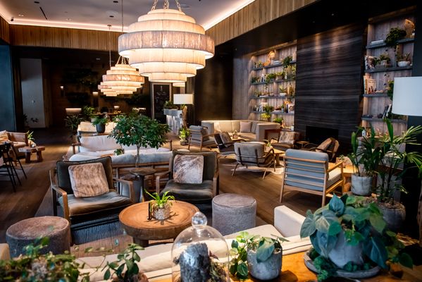 1 Hotel Toronto by null