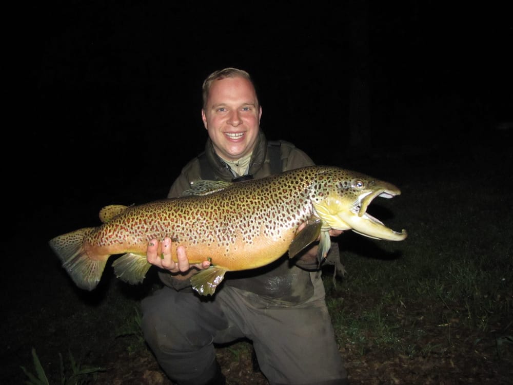 Catch Arkansas Trout Logo