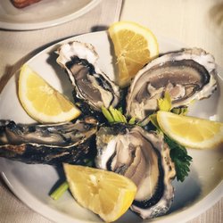Austern/oysters
