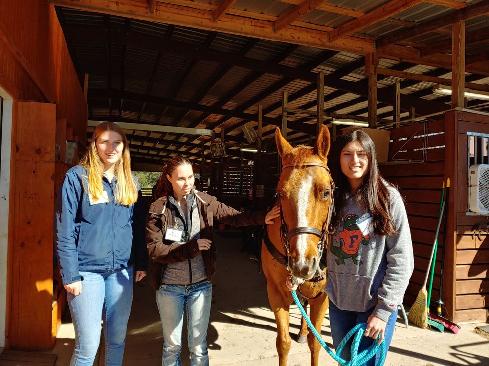 STIRRUPS’N STRIDES THERAPEUTIC RIDING CENTER Updated August 2024 21