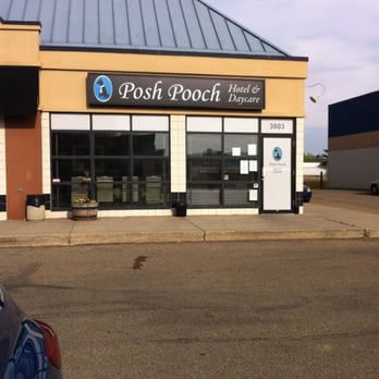 Posh Pooch - Pet Boarding Near Me - Edmonton, Alberta