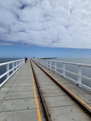Busselton Jetty by null