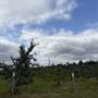 Photo of Raising Cane Ranch