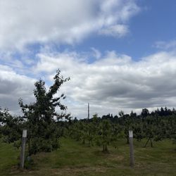 Raising Cane Ranch