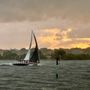 Davis Island Yacht Club