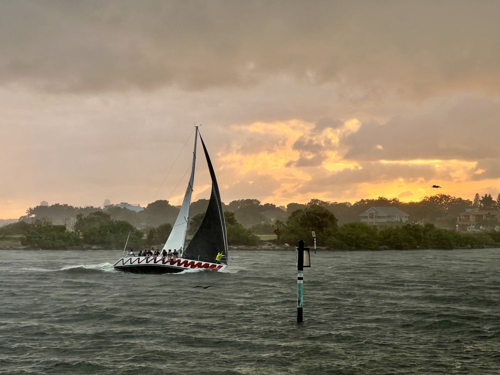 Davis Island Yacht Club Logo