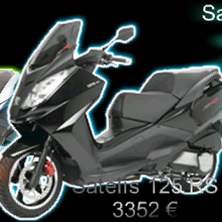 Absolut Scoot