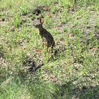Eagle Mountain Park - Hiking Near Me - Fort Worth, Texas