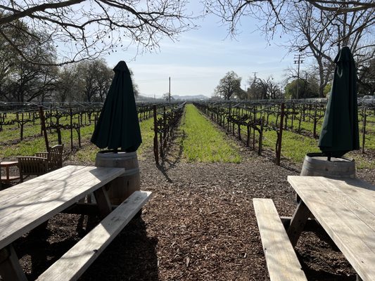 Saddleback Cellars by null