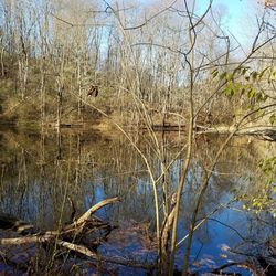 Harrison Hills Park