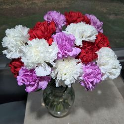 Ingles Markets Inc No 206 - Carnations 3 bunches for $10