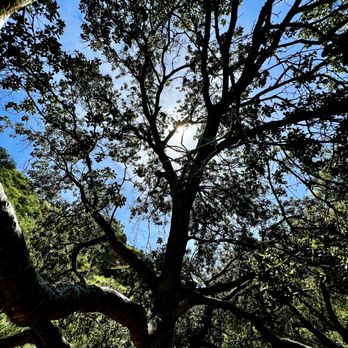 Paradise Falls - Hiking Near Me - Thousand Oaks, California Paradise Falls - Hiking Near Me - Thousand Oaks, California