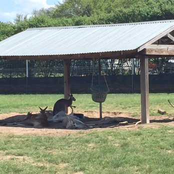 Sharkarosa Wildlife Ranch - Attraction Farms Near Me - Pilot Point, Texas Sharkarosa Wildlife Ranch - Attraction Farms Near Me - Pilot Point, Texas