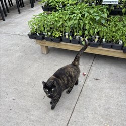 Gale's Garden Centers-Westlake