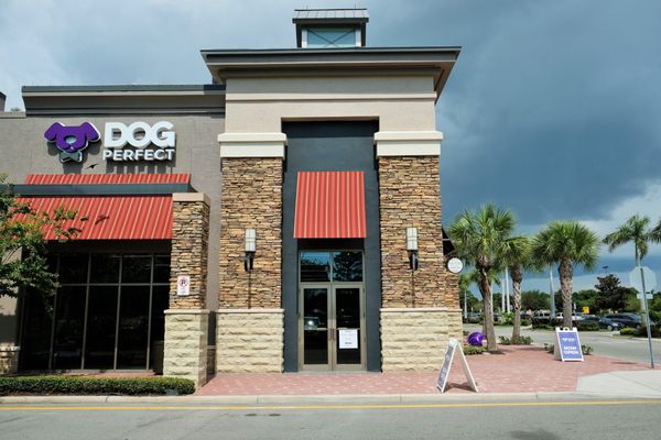 DOGPerfect - University Park