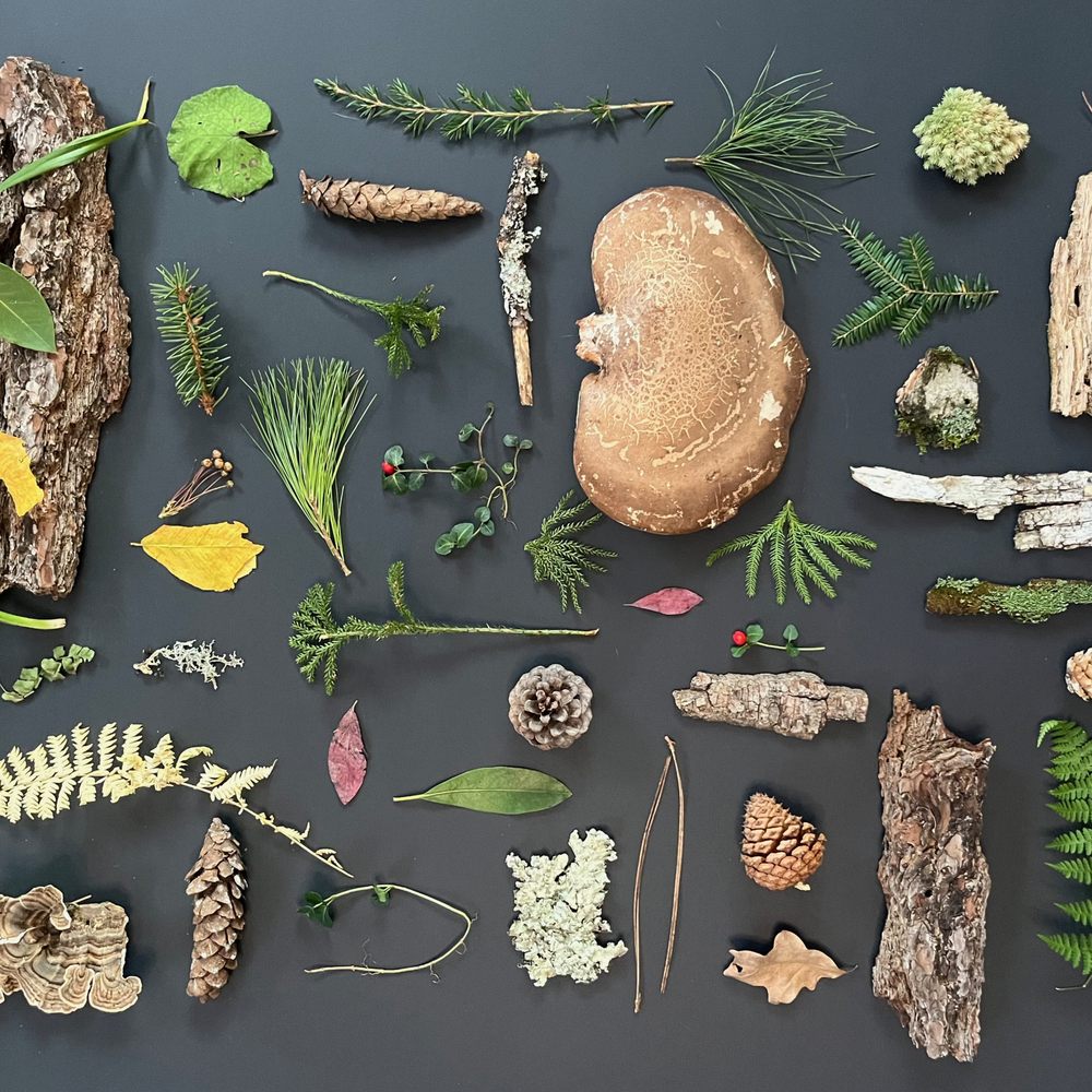 THE BEST 10 FLORISTS near FOX CHAPEL RD, PITTSBURGH, PA - Updated 2026 -  Hours - Yelp