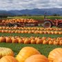 Photo of Fort Vannoy Farms