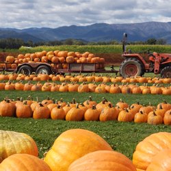 Fort Vannoy Farms