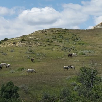 Theodore Roosevelt National Park - Parks Near Me - Medora, North Dakota Theodore Roosevelt National Park - Parks Near Me - Medora, North Dakota
