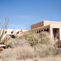 The Desert Lily