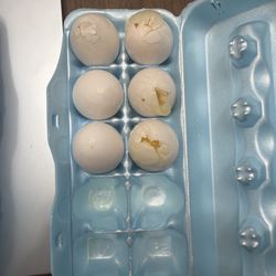 Walmart Supercenter - Broken Eggs
