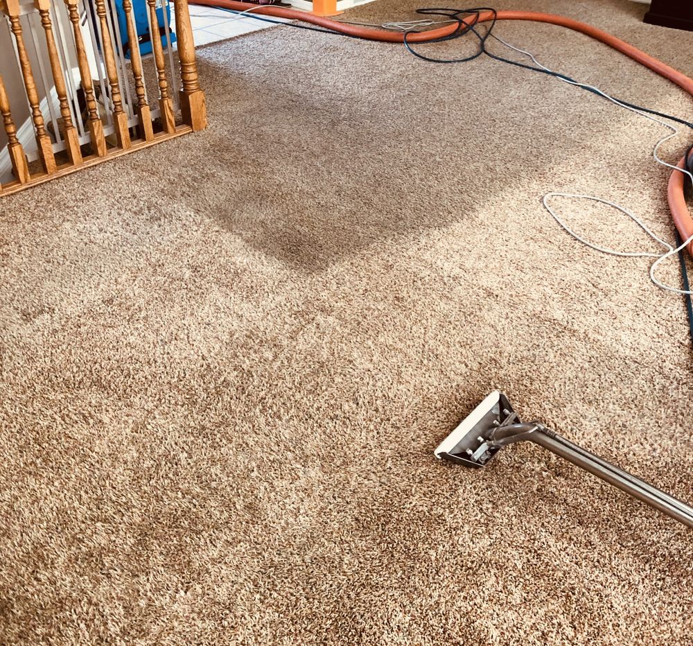 SUNRISE CLEANING & RESTORATION Updated September 2024 3466 E 20th N