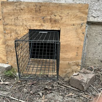 MRDA Wildlife Control & Construction - One way door - Wildlife Control Near Me - Huntington Park, California MRDA Wildlife Control & Construction - One way door - Wildlife Control Near Me - Huntington Park, California