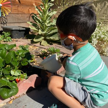 Bay Sky Montessori - Preschools Near Me - Oakland, California Bay Sky Montessori - Preschools Near Me - Oakland, California