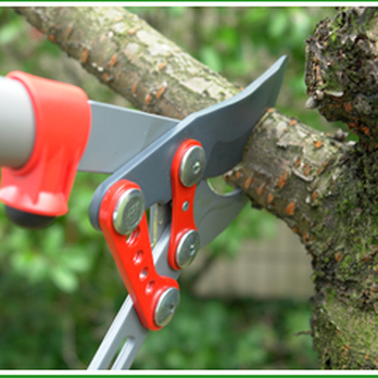 Forest Wind Landscaping - a pair of scissors cutting a tree branch - Lawn Services Near Me - Memphis, Tennessee Forest Wind Landscaping - a pair of scissors cutting a tree branch - Lawn Services Near Me - Memphis, Tennessee