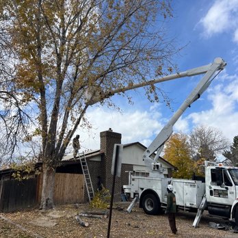 LCM Tree Services - Tree Services Near Me - Thornton, Colorado LCM Tree Services - Tree Services Near Me - Thornton, Colorado