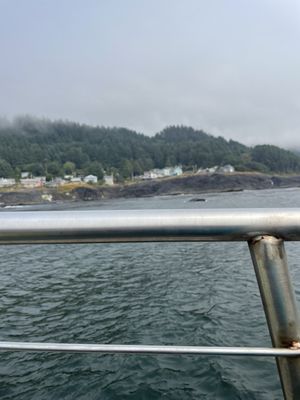 Whale, Sea Life, & Shark Museum by null