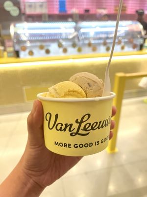 Van Leeuwen Ice Cream by null