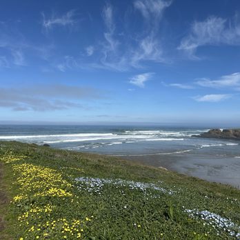Beachcomber Motel - More gorgeous, wildflowers, pink blues, white, and yellows gorgeous weekend - Hotels Near Me - Fort Bragg, California