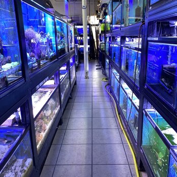 Fish Paradise - Pet Services Near Me - Fort Worth, Texas