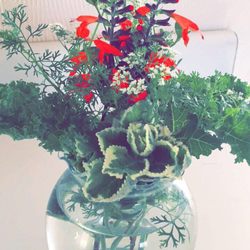Alliance for the Arts Green Market - Beautiful herbal arrangement